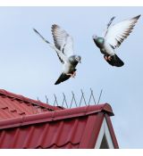 Ochranné hroty proti holubom - 20 ks hrotov